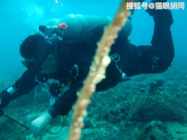 豪爵125踏板摩托车滑行齿轮吗？